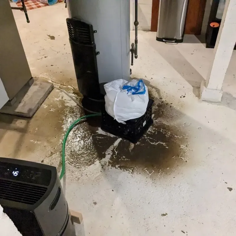 Sewage Backup Cleanup Service in Cayce, SC